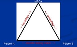 Genetic Triangulation. International Society of Genetic Genealogists. ISOGG Wiki. William Hurst.