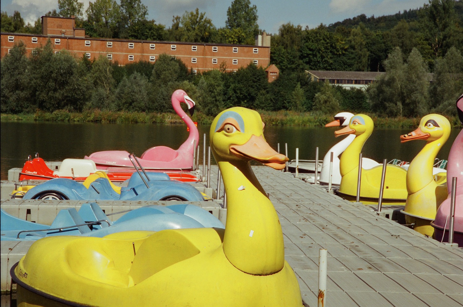 CineStill 400D