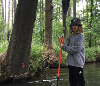 Stand up Paddeln Spreewald durch den koeniglichen Hochwald 