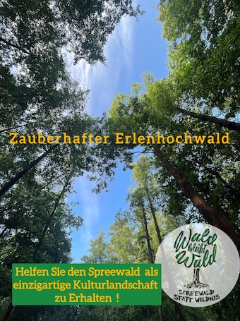 Endecken-sie-den-spreewald-vom-kahn-aus-spreewaldkahnfahrten