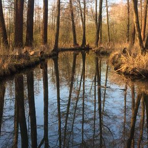 spreewald-im-april