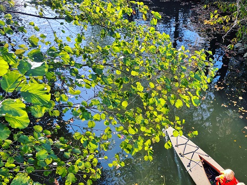 Paddelbootverleih Spreewald Burg