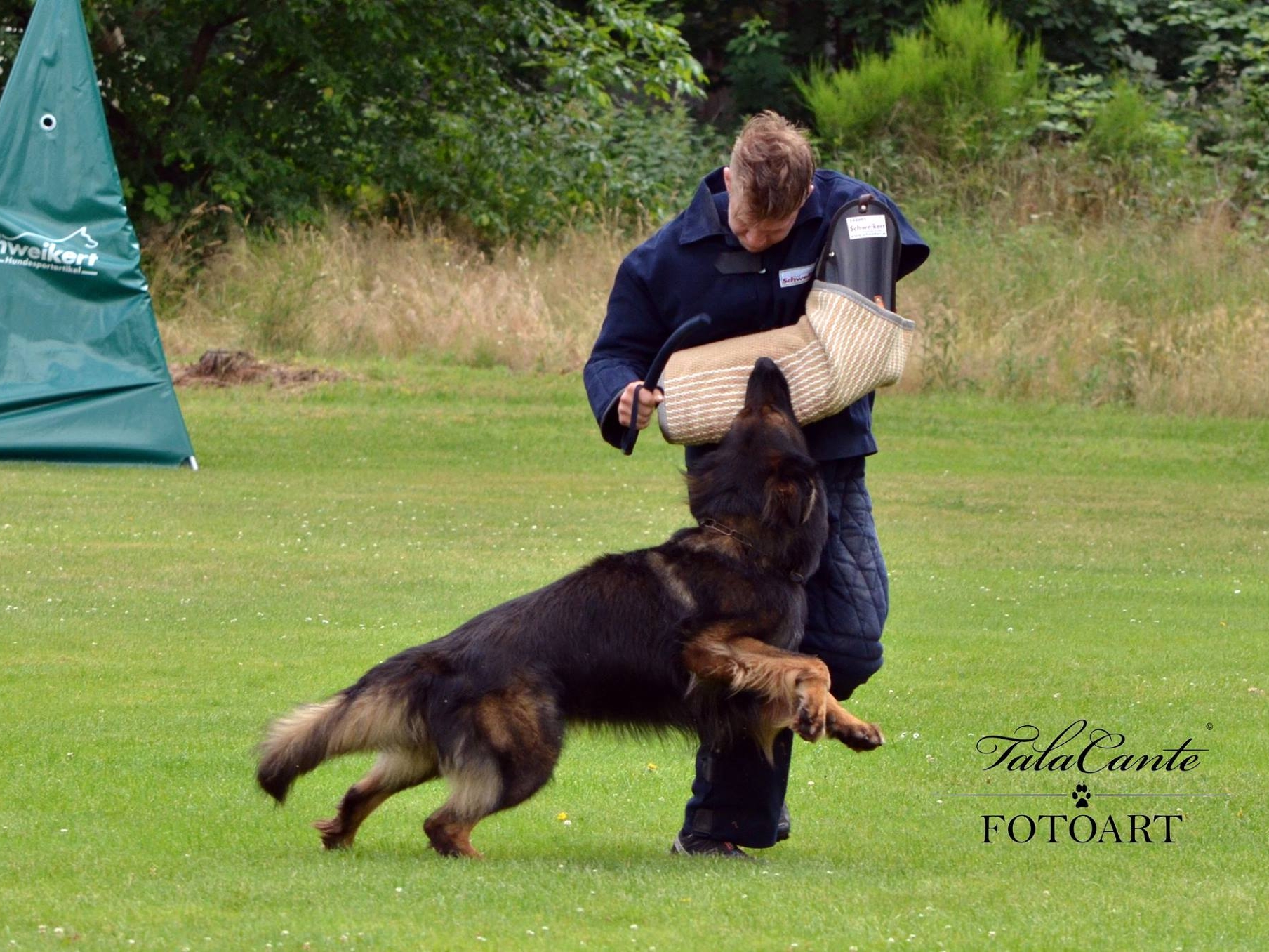 Schutzdienst im Schutzhundesport