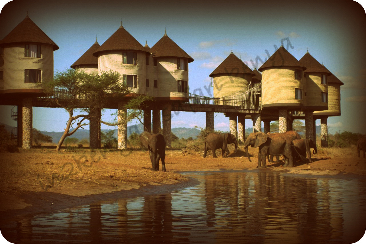 safari in kenya costo