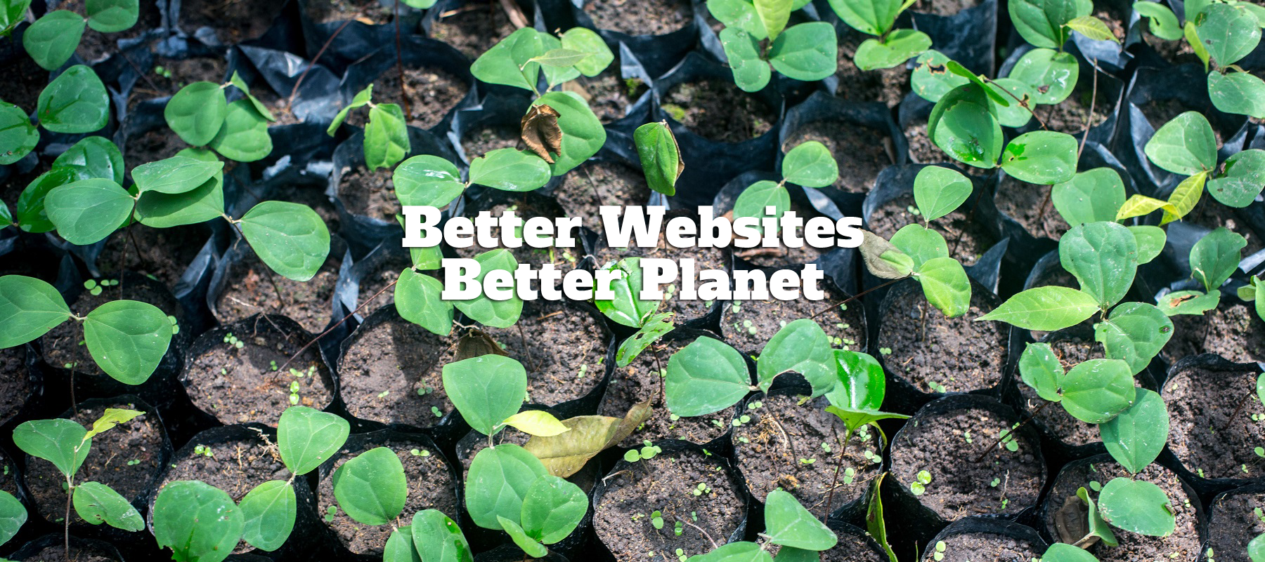 SEO – Search Engine Optimisation