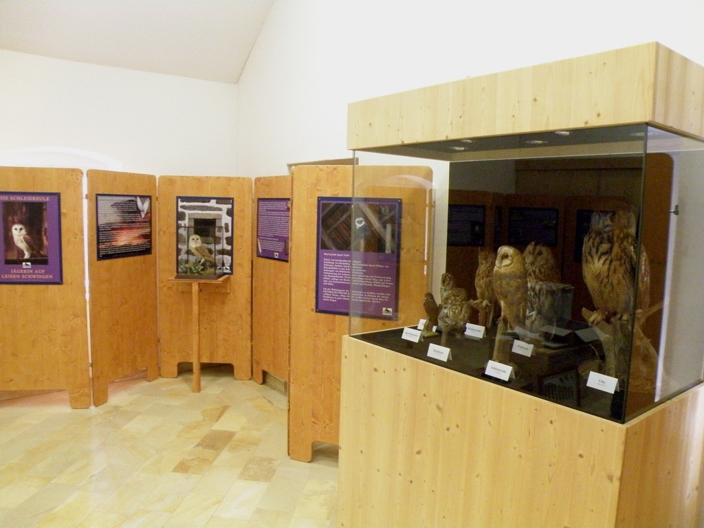 Eulen und Fledermausausstellung 2008