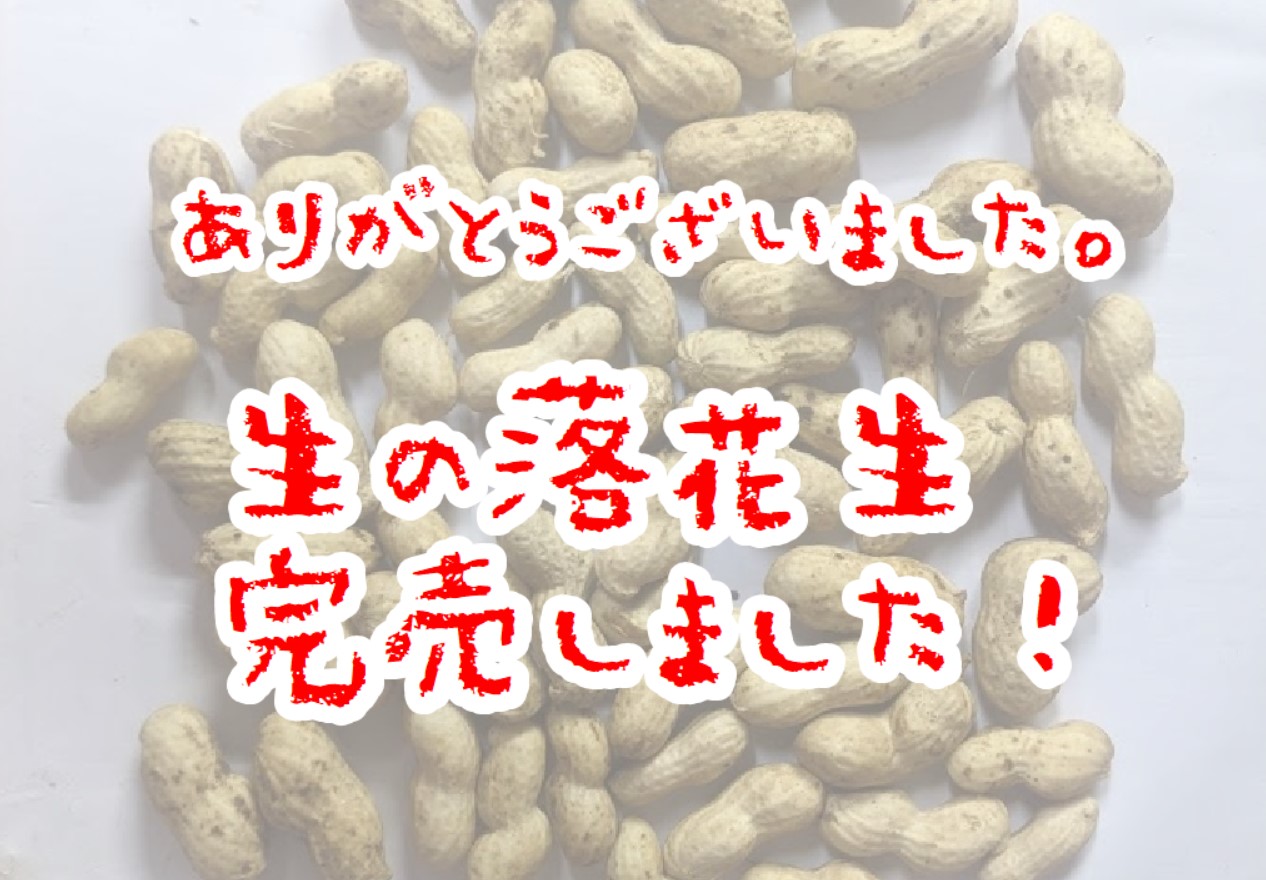 落花生は完売しました くわの農園 大地の恵みをあなたへ 落花生は完売しました くわの農園 大地の恵みをあなたへ