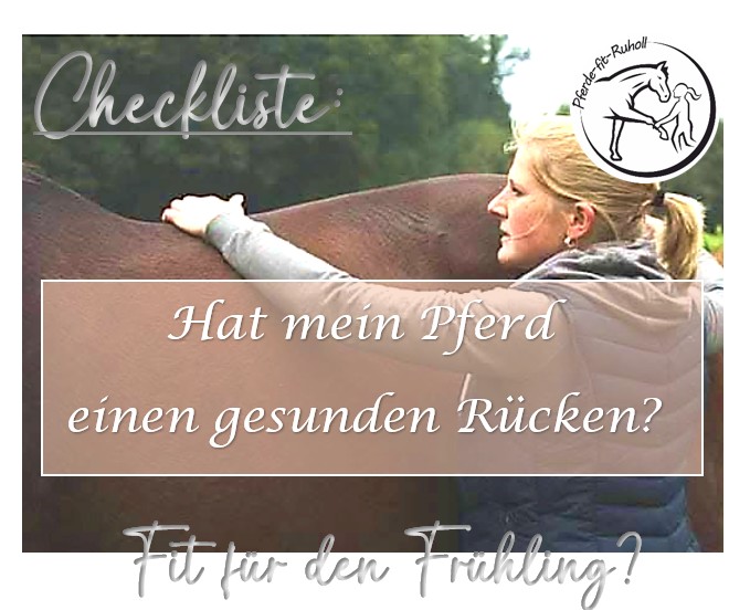 Checkliste: Hat mein Pferd einen gesunden Rücken?