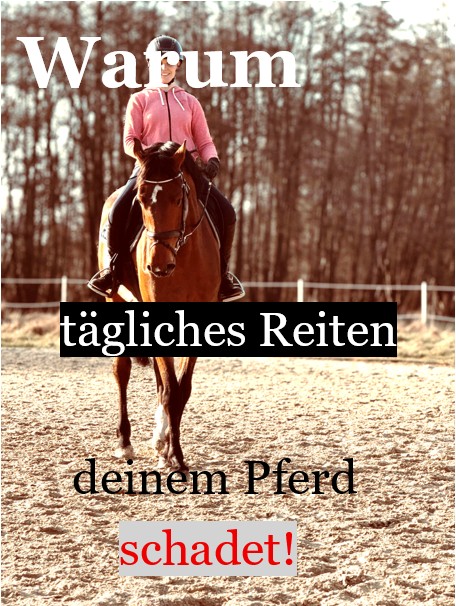 Warum tägliches Reiten deinem Pferd schadet!