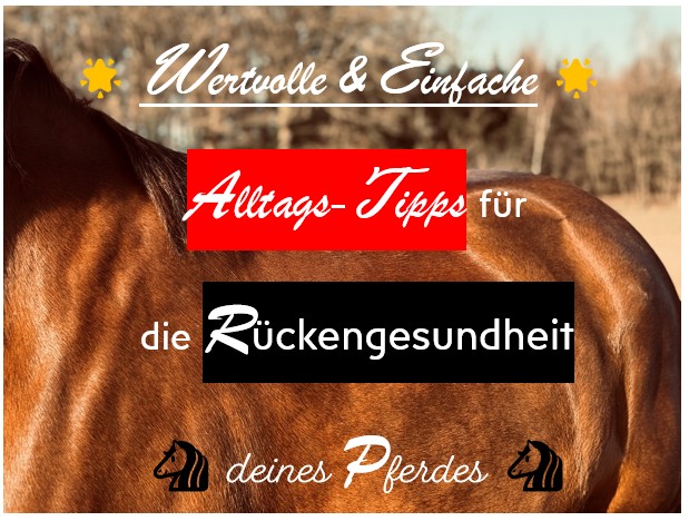 Alltags-Tipps zur Rückengesundheit