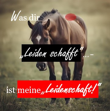 Ein Beitrag über mich als Pferdetherapeutin