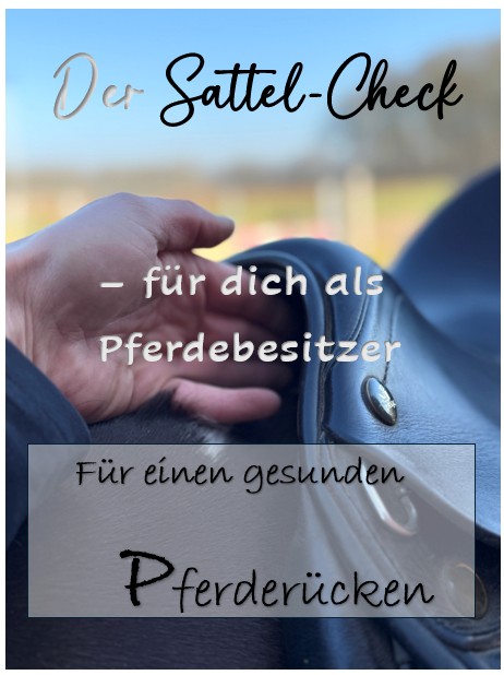 Der Sattel-Check - worauf kannst du selbst achten?!