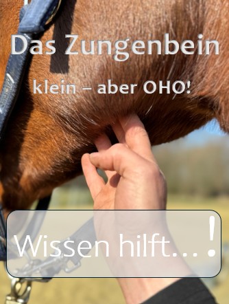 Das Zungenbein