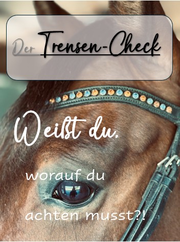 Der Trensen-Check - Passform & Auswirkungen