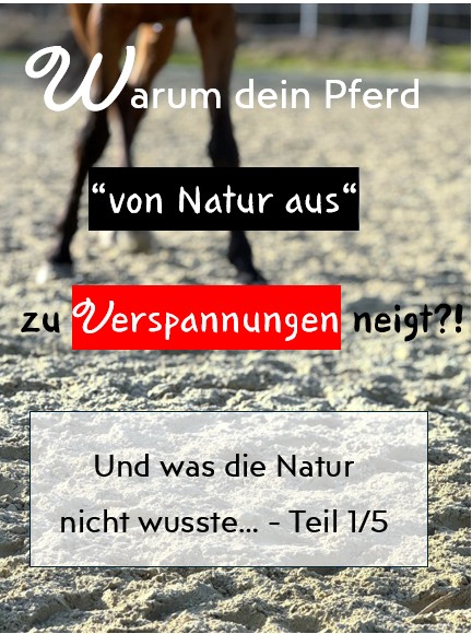 Warum dein Pferd "von Natur aus" zu Verspannungen neigt?! Teil 1/5
