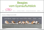 www.gysnaufluhblick.com