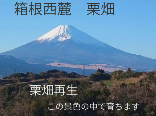 クラウドファンディングに挑戦します