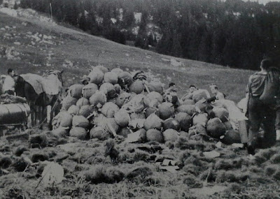 Operation Buick - 1st August 1944  The plateau des Glières