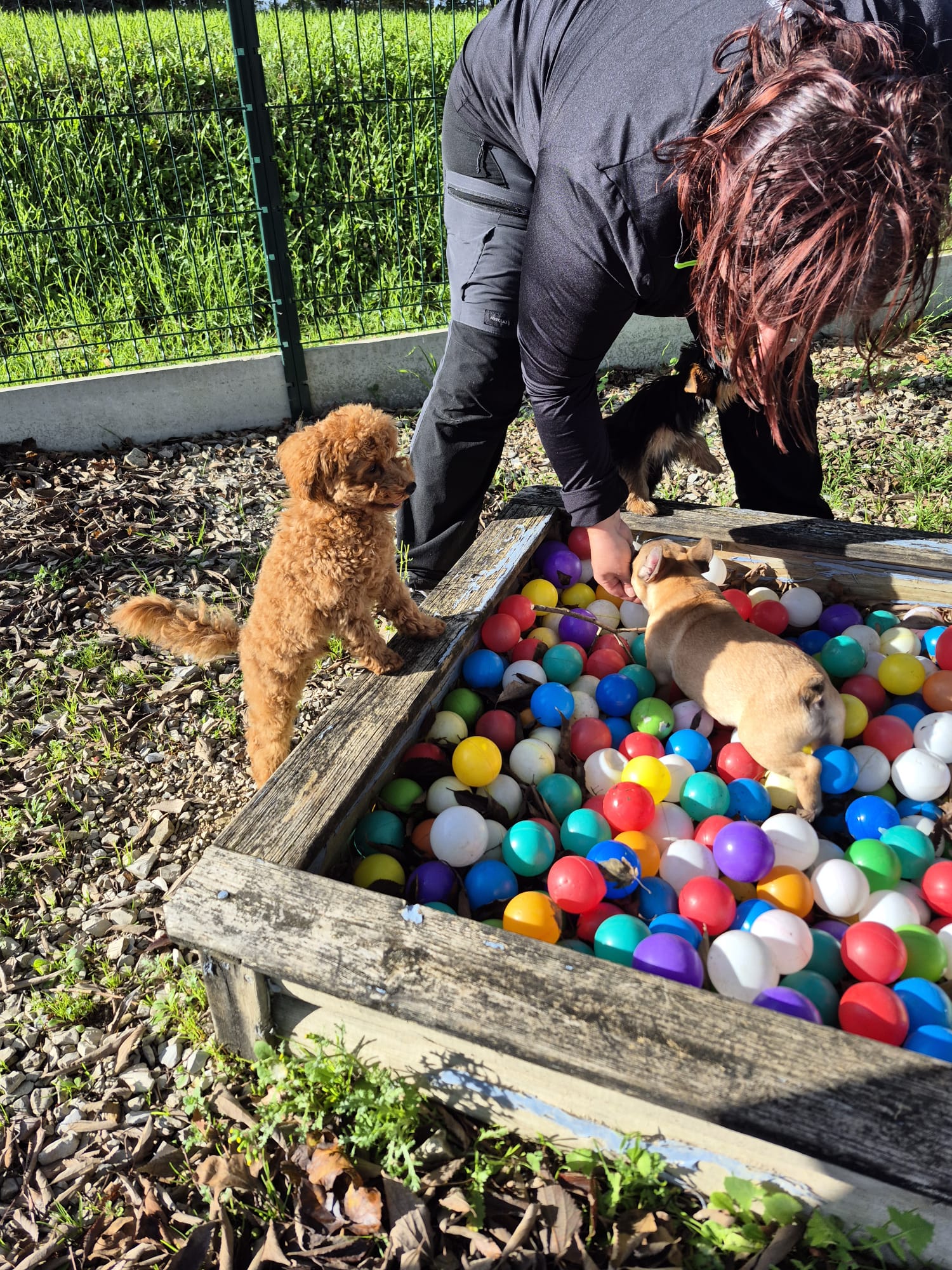 Découverte du Bassin à Boules