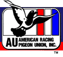 AMERICAN RACING PIGEON UNION