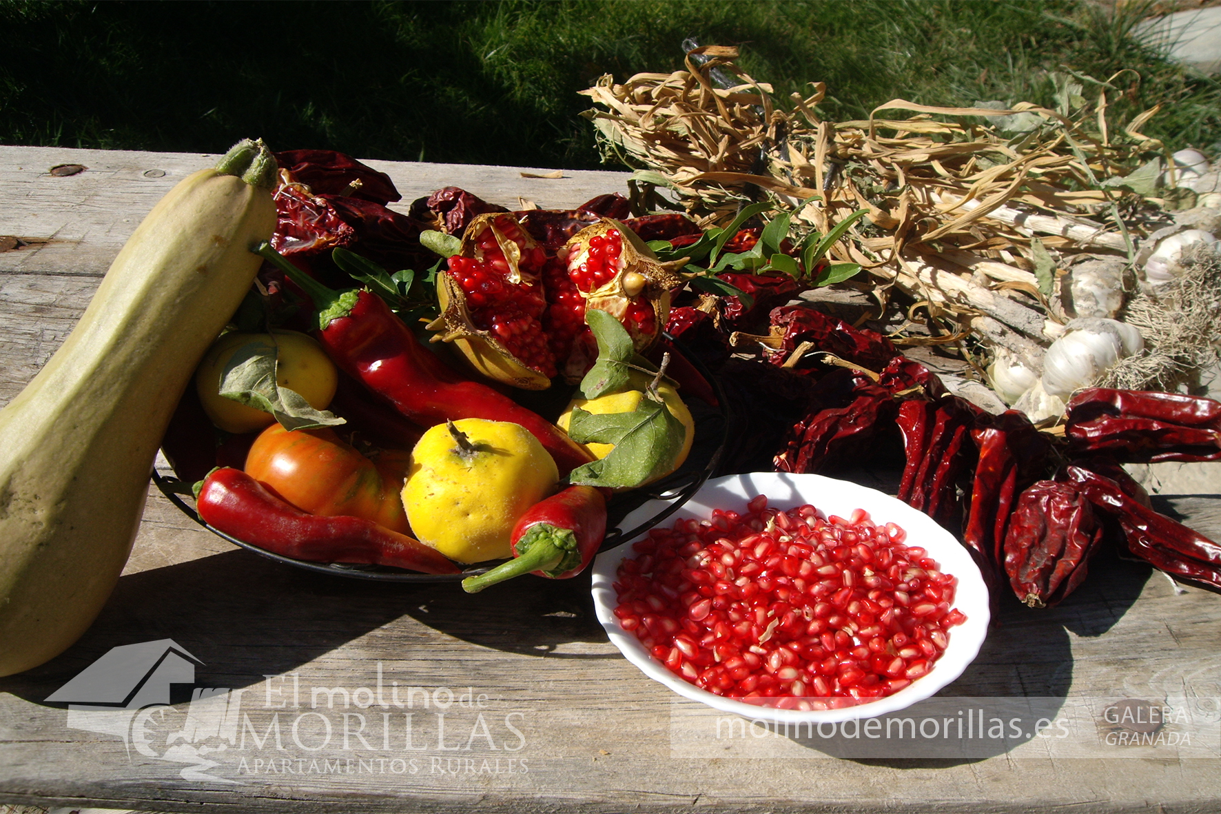 Hortalizas de la huerta y frutas autóctonas de Galera