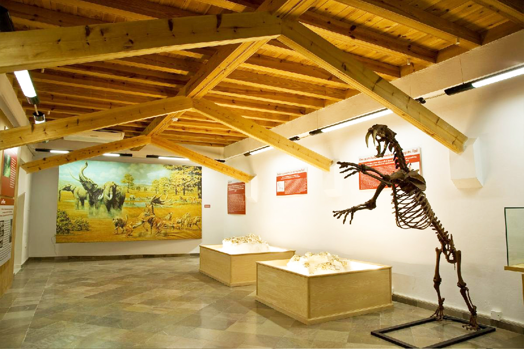 Museo de Prehistoria y Paleontología de Orce. Foto: granadaaltiplano.org