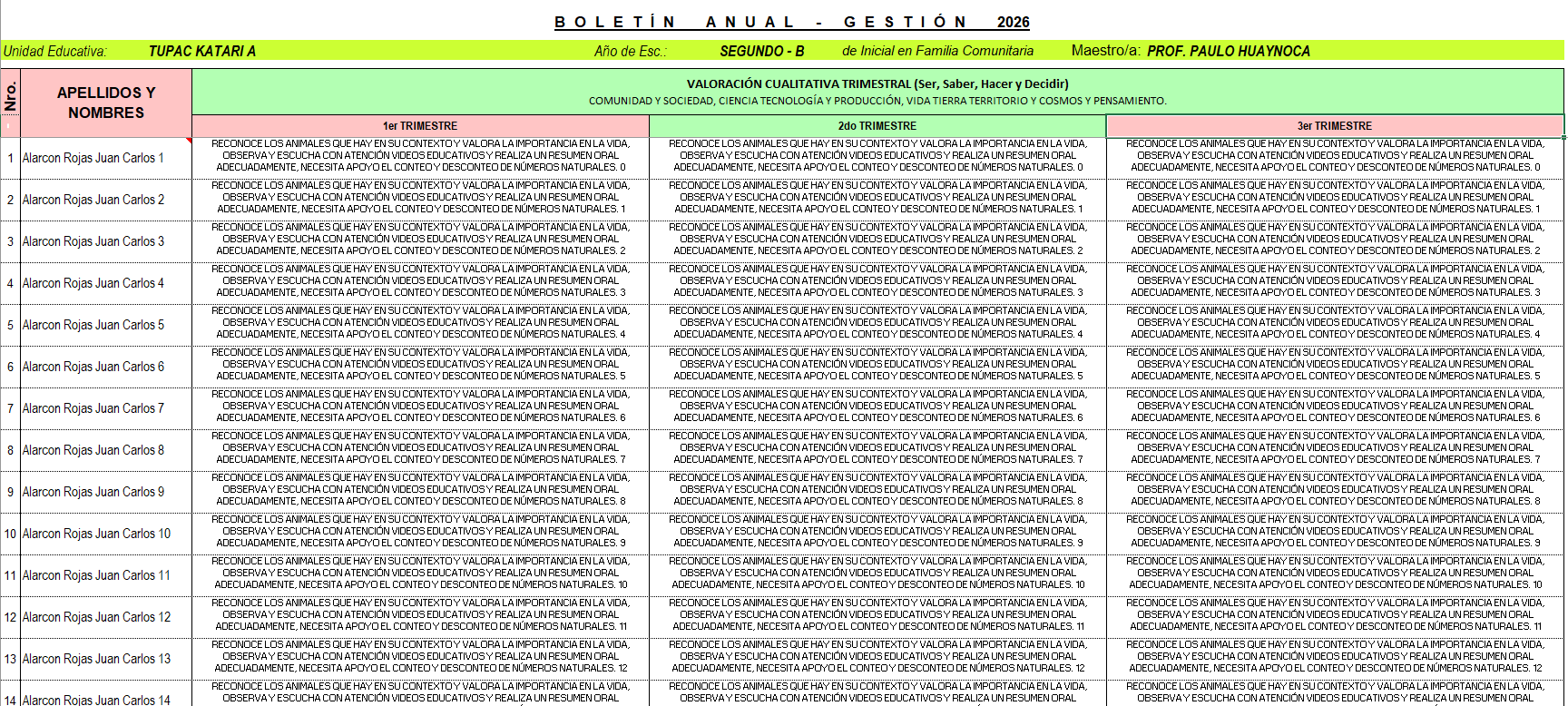 Boletin Anual