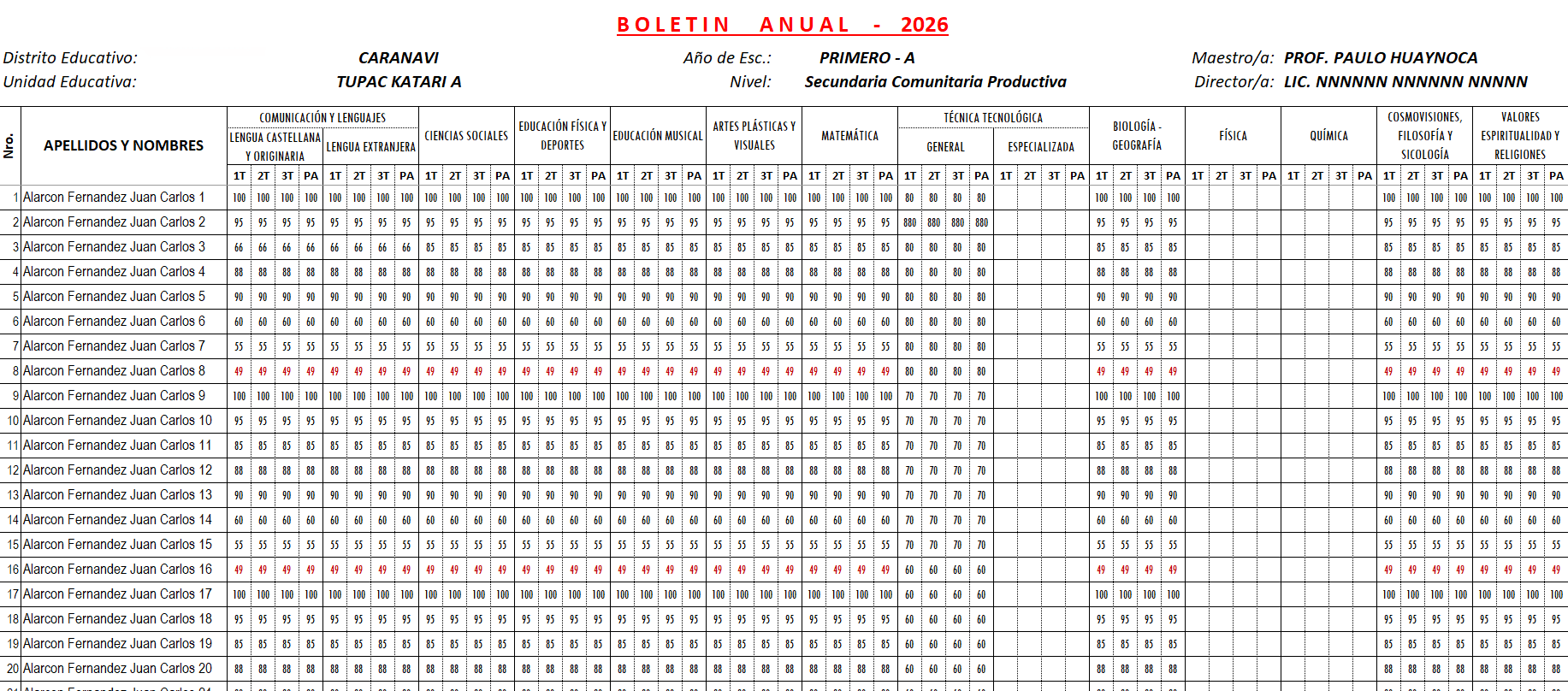 Boletín Anual