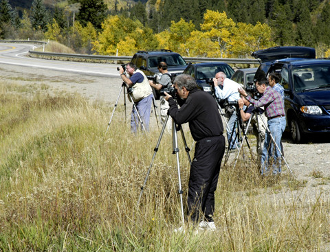 Photographers are an odd lot