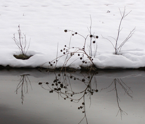 Winter Waterside