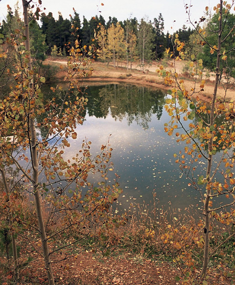 Don's Pond