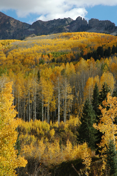 Near Kebler Pass