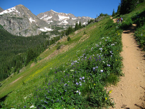Arapaho Pass Trail