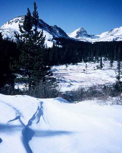 Mount Toll