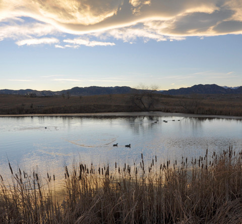 Josh's Pond