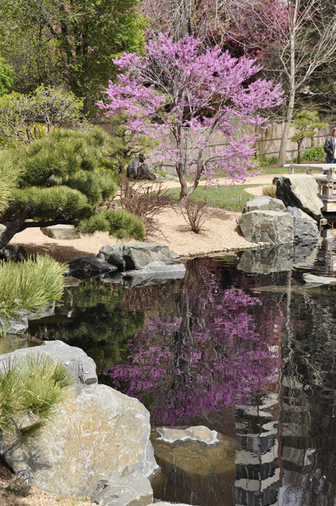 Denver Botanic Gardens