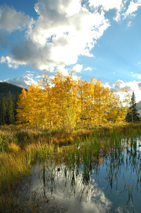 Pond near Kebler Pass