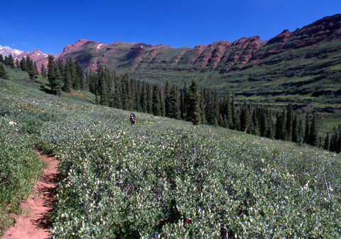 Fravert Basin