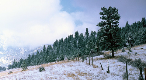 Walker Ranch