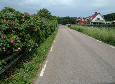 Road near Hov