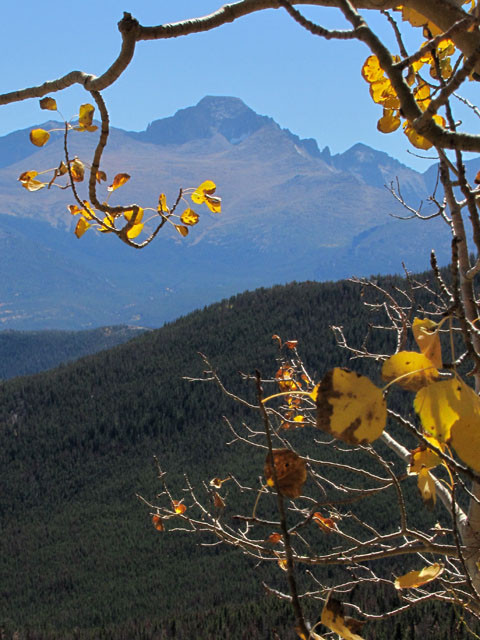 Longs Peak from Many Parks Curve