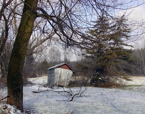 On the Farm