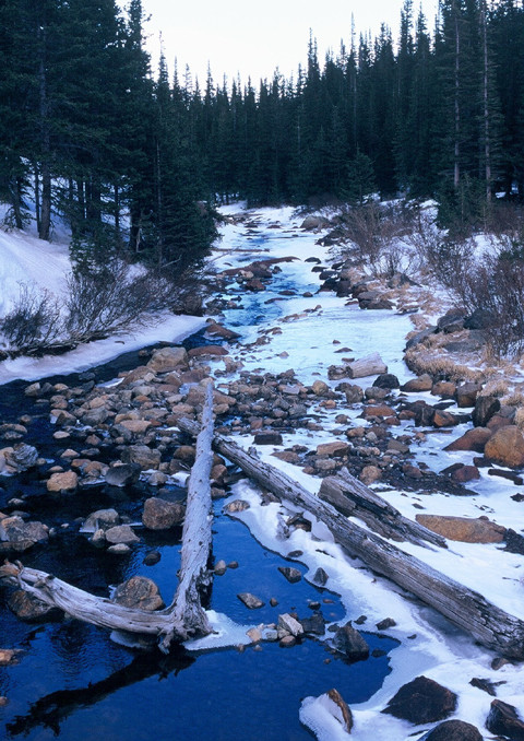 Mitchell Creek