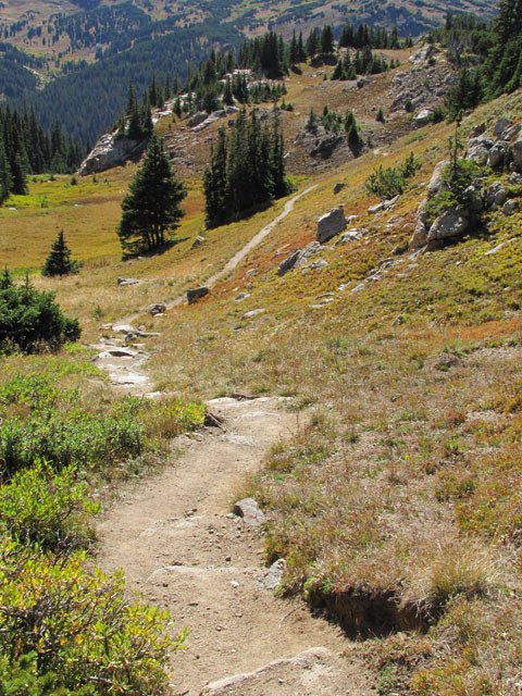Chapin Pass Trail