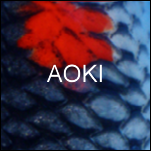 Aoki