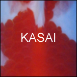 Kasai