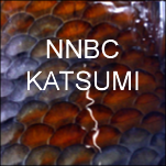 Katsumi