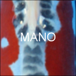 Mano