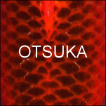 Otsuka