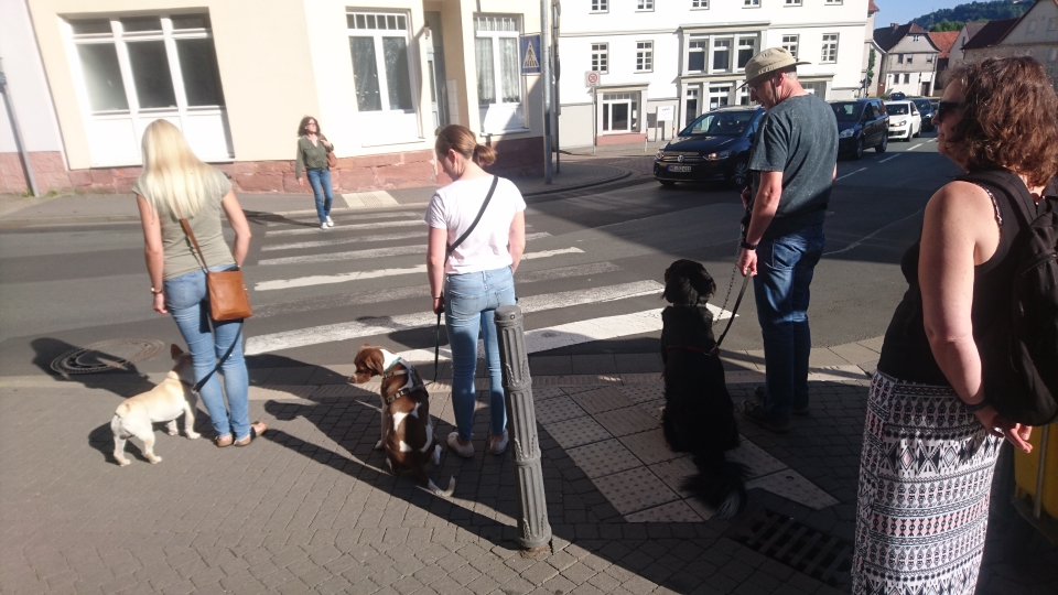 Hundeschule Marburg, team-training-menschhund.de